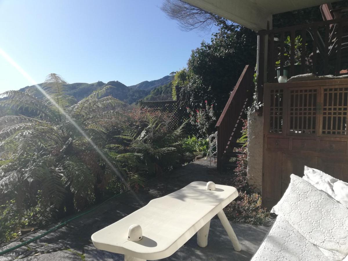 Joya Garden & Villa Studios Nelson Exterior foto